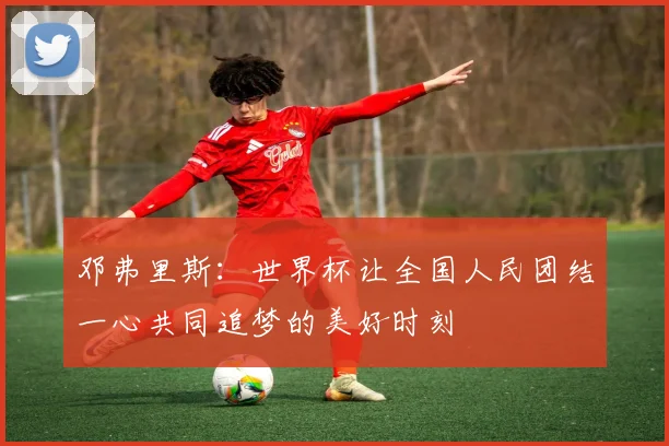 邓弗里斯：世界杯让全国人民团结一心共同追梦的美好时刻